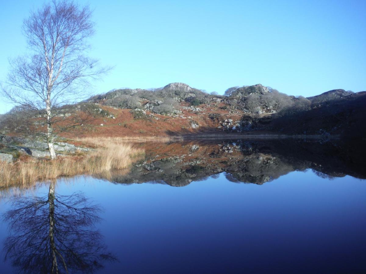 Dinas Llanbedr (Gwynedd) Exterior foto
