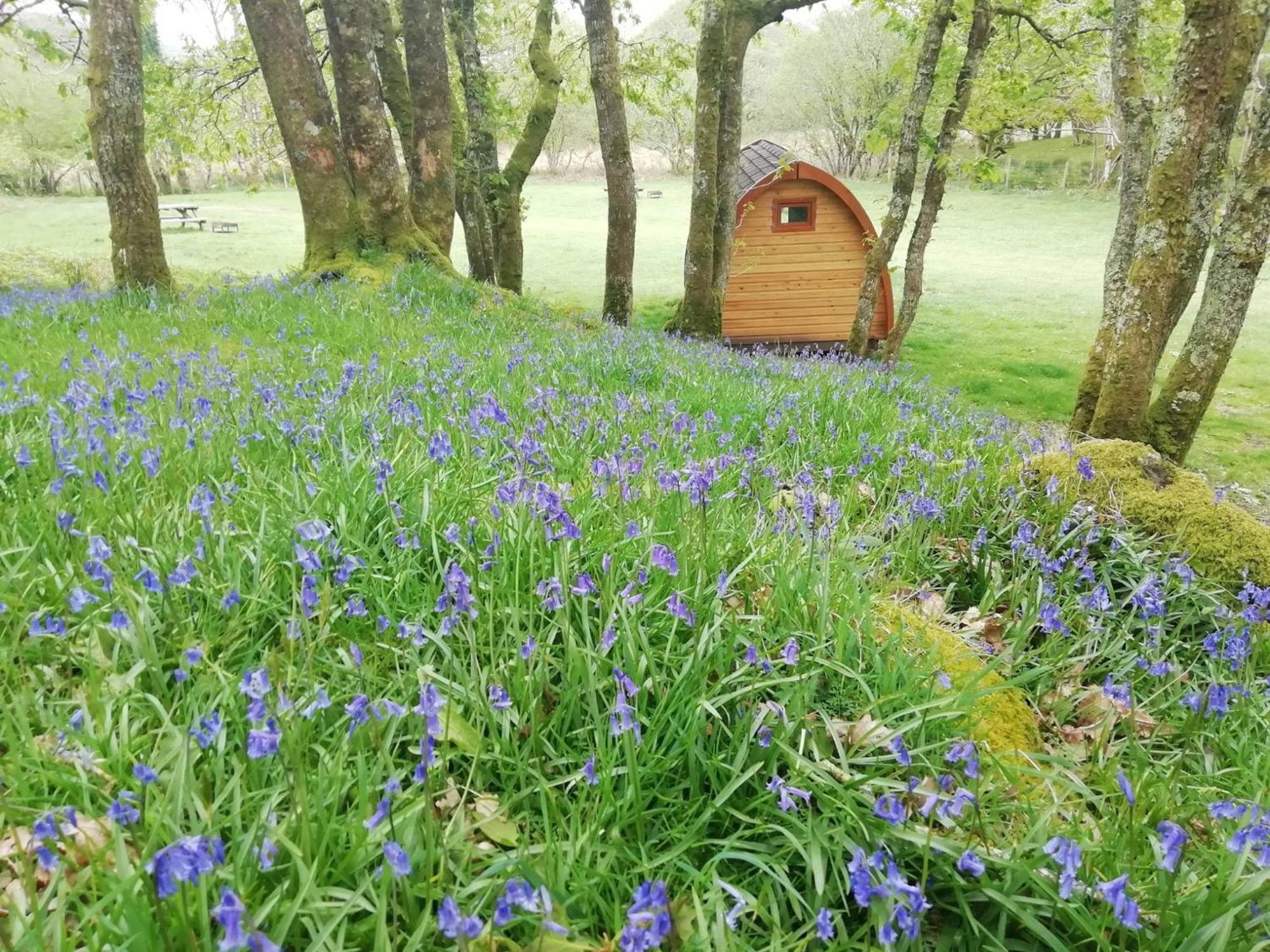 Dinas Llanbedr (Gwynedd) Exterior foto