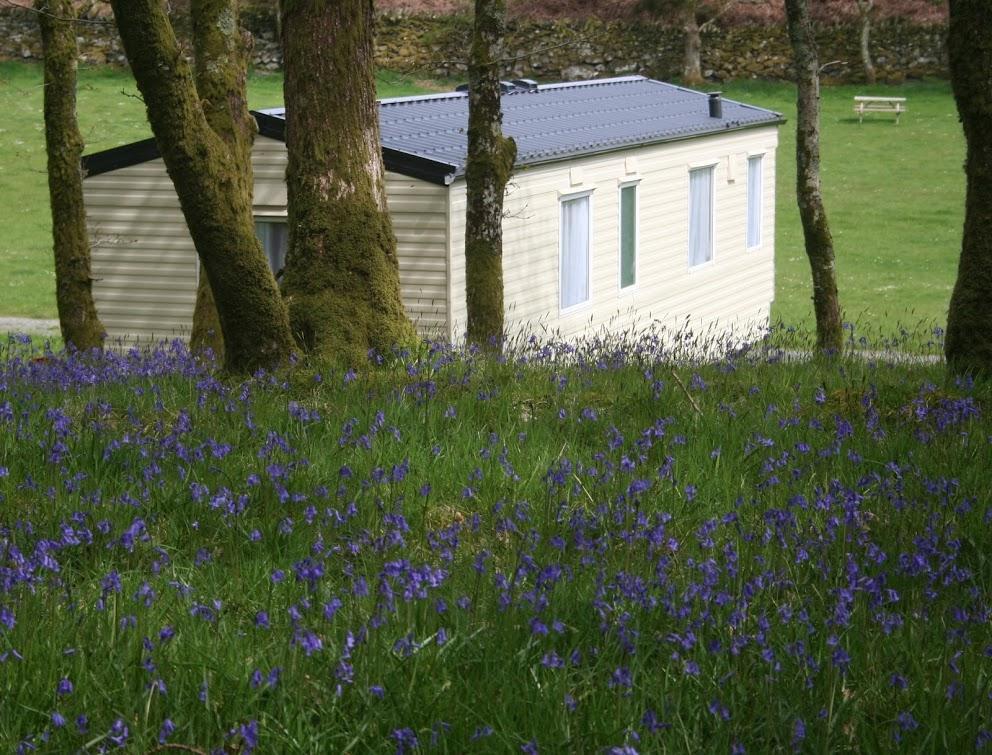 Dinas Llanbedr (Gwynedd) Exterior foto